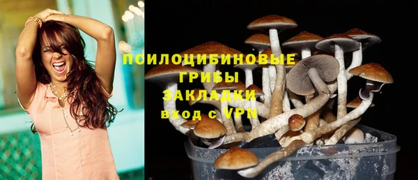 эйфоретик Абаза